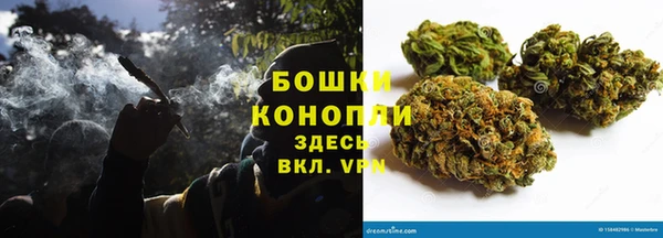 бошки Дмитров