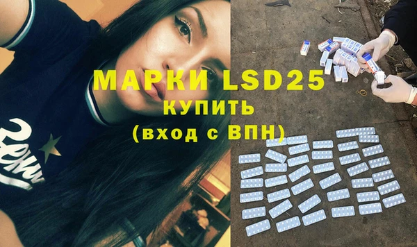 шишки Гусев