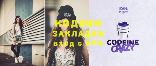 шишки Гусев