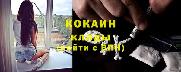 спиды Дмитриев