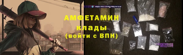 шишки Гусев