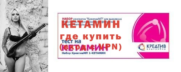 шишки Гусев