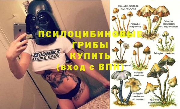 Альфа ПВП Гусь-Хрустальный