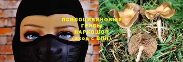 спиды Дмитриев