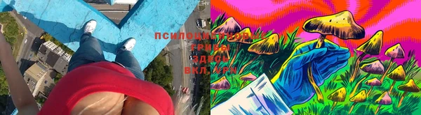 спиды Дмитриев