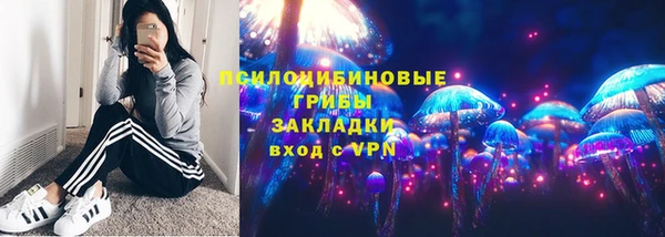 mdpv Горняк