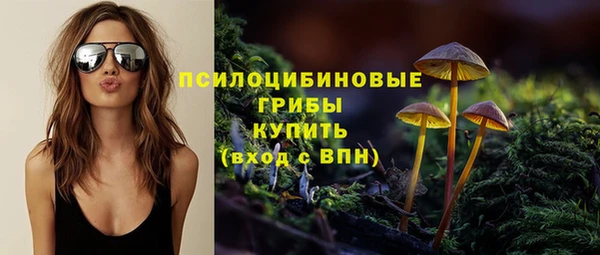 шишки Гусев