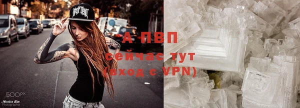 шишки Гусев